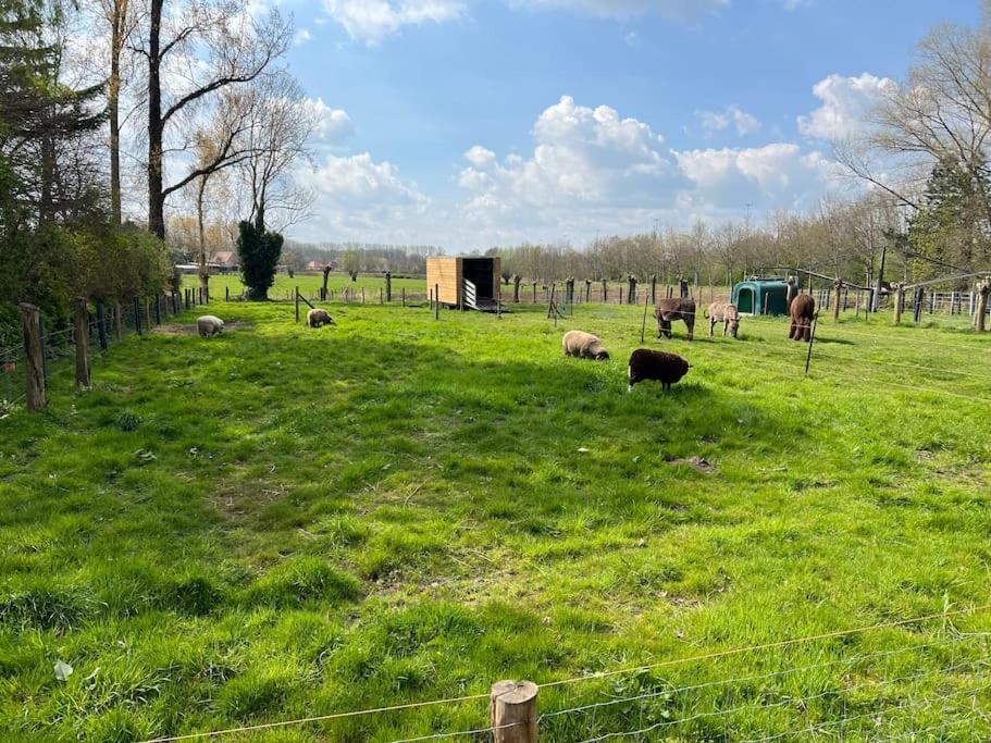 Hoeve Hooierzele Waasmunster Kültér fotó